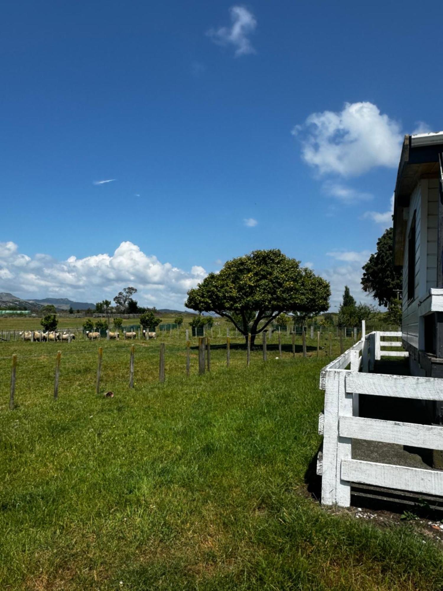 Lockwood Country House Retreat Putorino Экстерьер фото